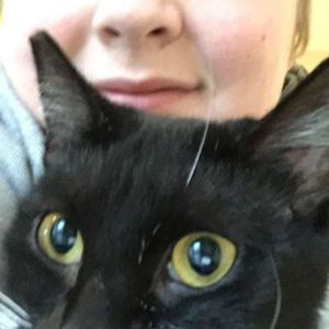 Meet your Posher, Kip